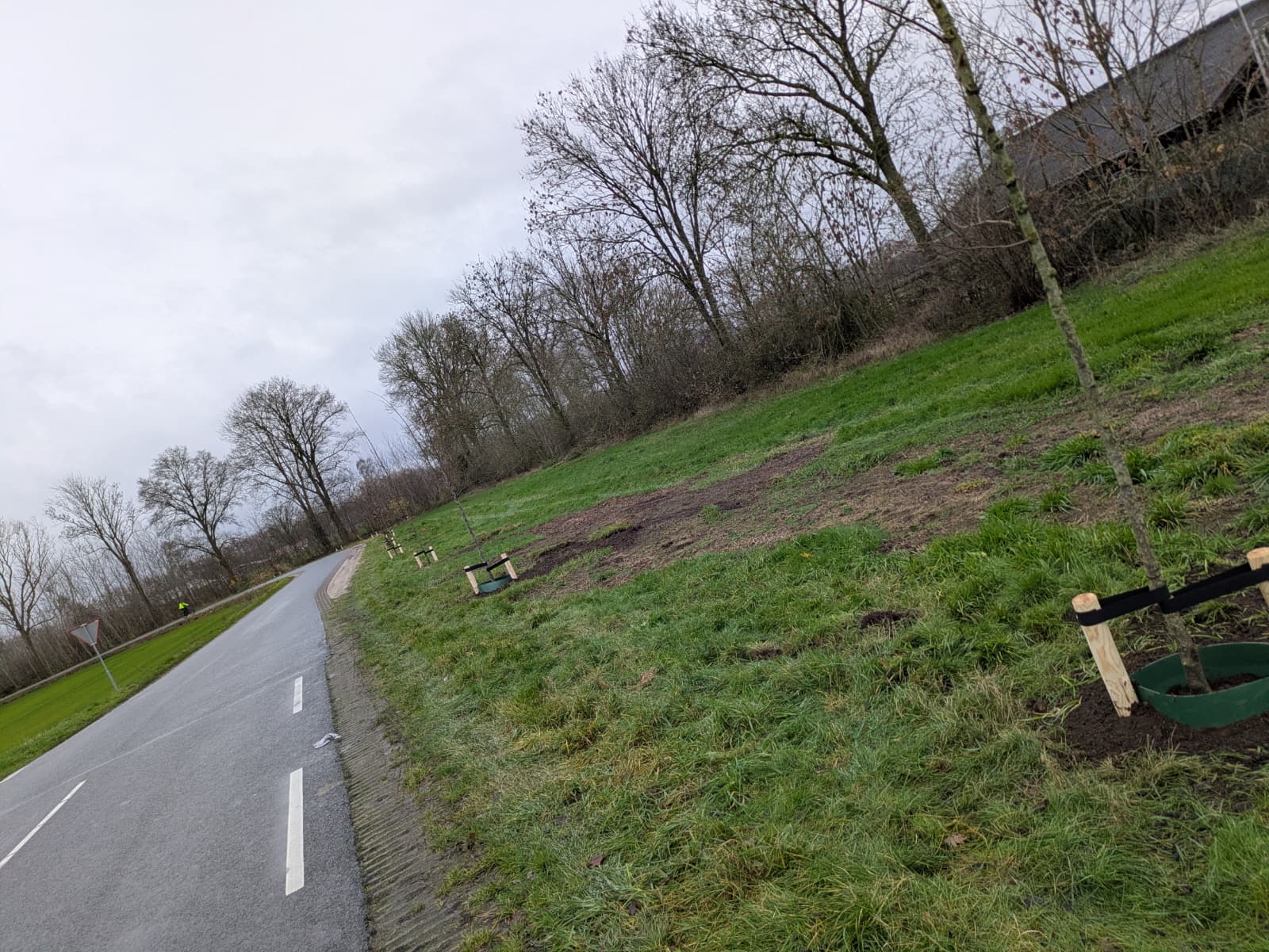 Aanplant nieuwe bomen